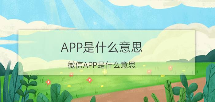 APP是什么意思 微信APP是什么意思？